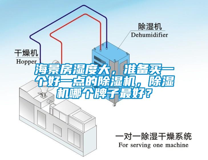 海景房濕度大，準(zhǔn)備買一個(gè)好一點(diǎn)的除濕機(jī)，除濕機(jī)哪個(gè)牌子最好？