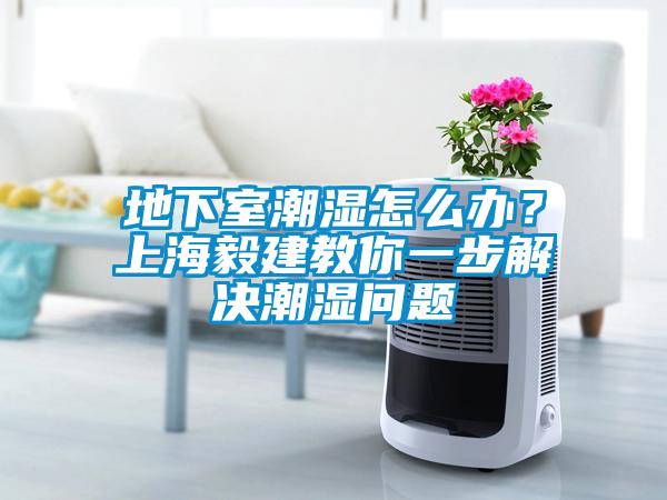 地下室潮濕怎么辦？上海毅建教你一步解決潮濕問題