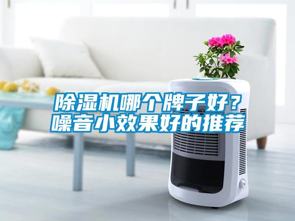 除濕機(jī)哪個(gè)牌子好？噪音小效果好的推薦