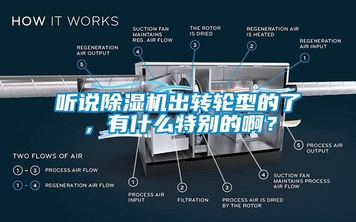 聽(tīng)說(shuō)除濕機(jī)出轉(zhuǎn)輪型的了，有什么特別的??？
