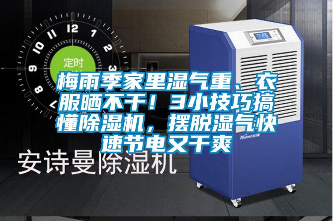 梅雨季家里濕氣重、衣服曬不干！3小技巧搞懂除濕機，擺脫濕氣快速節(jié)電又干爽