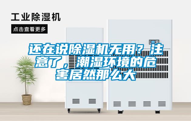 還在說除濕機(jī)無用？注意了，潮濕環(huán)境的危害居然那么大