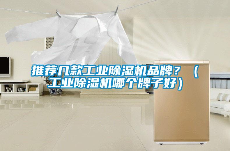 推薦幾款工業(yè)除濕機品牌？（工業(yè)除濕機哪個牌子好）