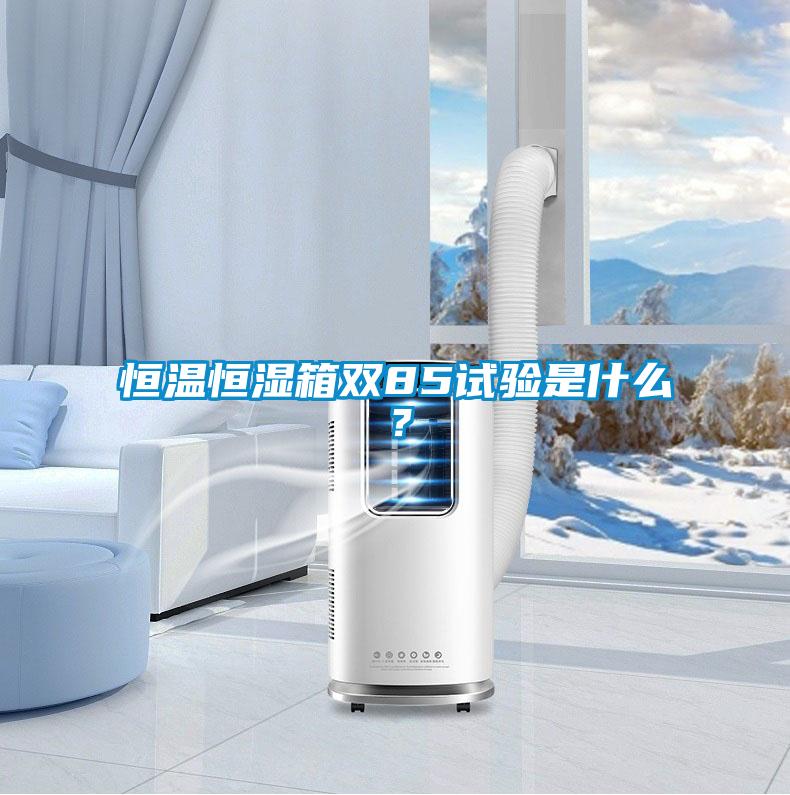 恒溫恒濕箱雙85試驗(yàn)是什么？