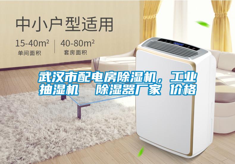 武漢市配電房除濕機(jī)，工業(yè)抽濕機(jī)  除濕器廠家 價(jià)格