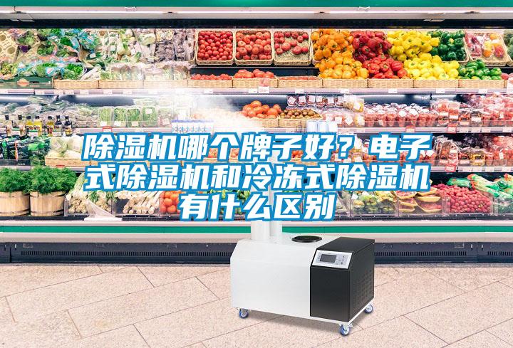除濕機哪個牌子好？電子式除濕機和冷凍式除濕機有什么區(qū)別
