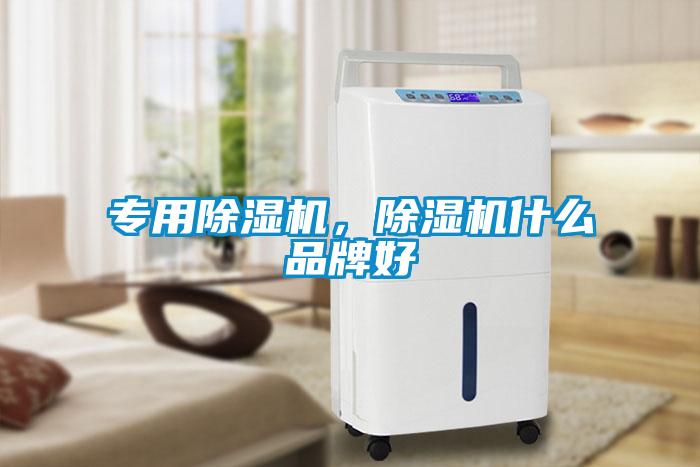 專用除濕機(jī)，除濕機(jī)什么品牌好