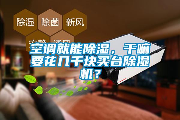 空調(diào)就能除濕，干嘛要花幾千塊買(mǎi)臺(tái)除濕機(jī)？