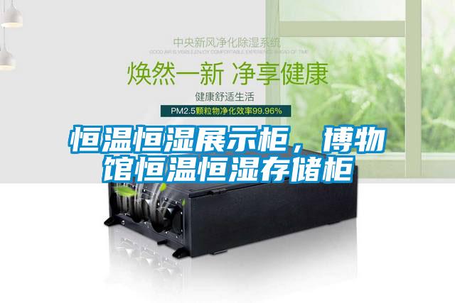 恒溫恒濕展示柜，博物館恒溫恒濕存儲柜