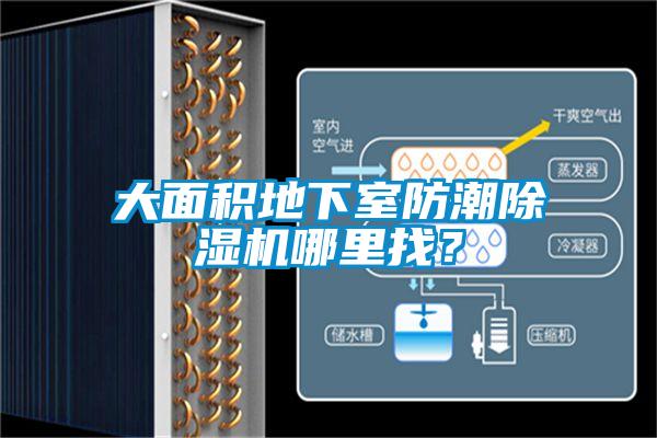 大面積地下室防潮除濕機哪里找？