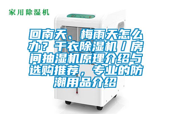 回南天、梅雨天怎么辦？干衣除濕機(jī)／房間抽濕機(jī)原理介紹與選購(gòu)?fù)扑]，專業(yè)的防潮用品介紹