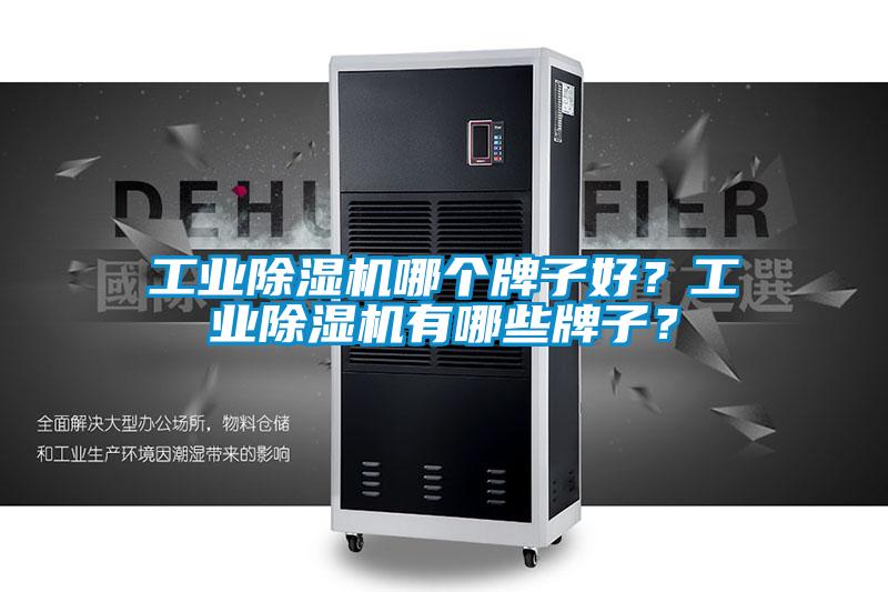 工業(yè)除濕機(jī)哪個(gè)牌子好？工業(yè)除濕機(jī)有哪些牌子？