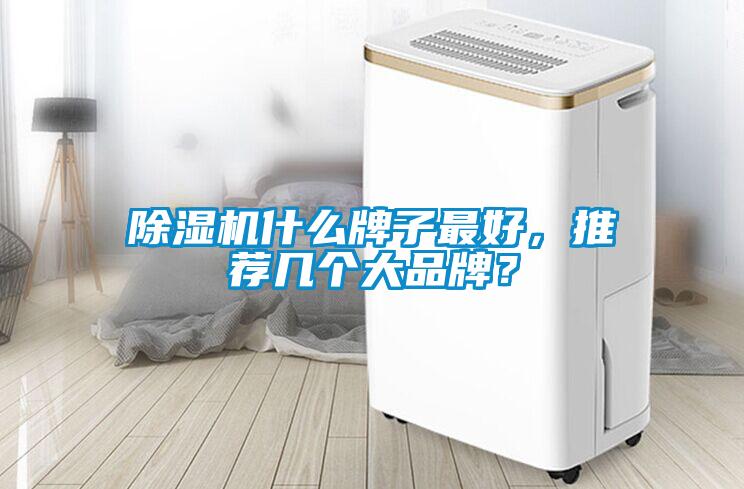 除濕機(jī)什么牌子最好，推薦幾個大品牌？