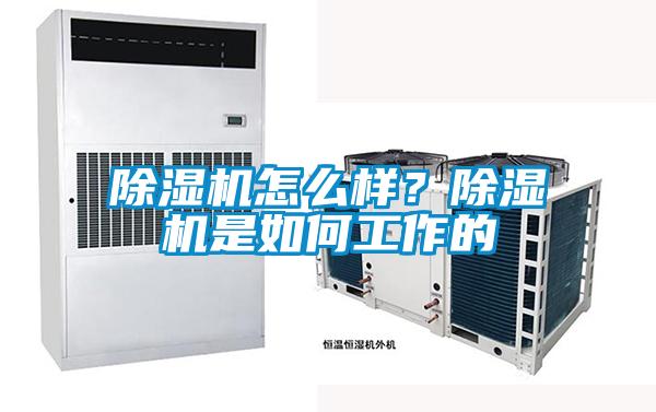 除濕機(jī)怎么樣？除濕機(jī)是如何工作的
