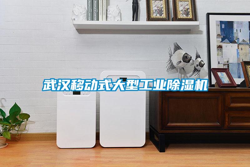 武漢移動式大型工業(yè)除濕機(jī)