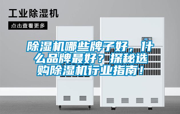 除濕機(jī)哪些牌子好，什么品牌最好？探秘選購除濕機(jī)行業(yè)指南！