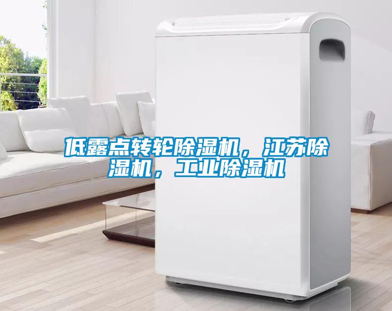 低露點(diǎn)轉(zhuǎn)輪除濕機(jī)，江蘇除濕機(jī)，工業(yè)除濕機(jī)