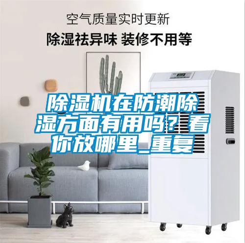 除濕機(jī)在防潮除濕方面有用嗎？看你放哪里_重復(fù)