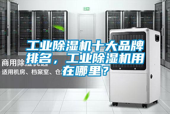 工業(yè)除濕機十大品牌排名，工業(yè)除濕機用在哪里？