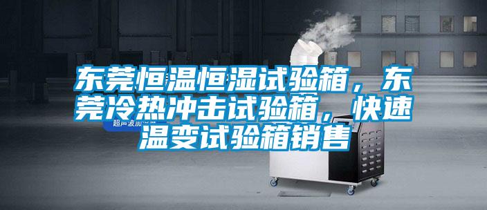 東莞恒溫恒濕試驗箱，東莞冷熱沖擊試驗箱，快速溫變試驗箱銷售