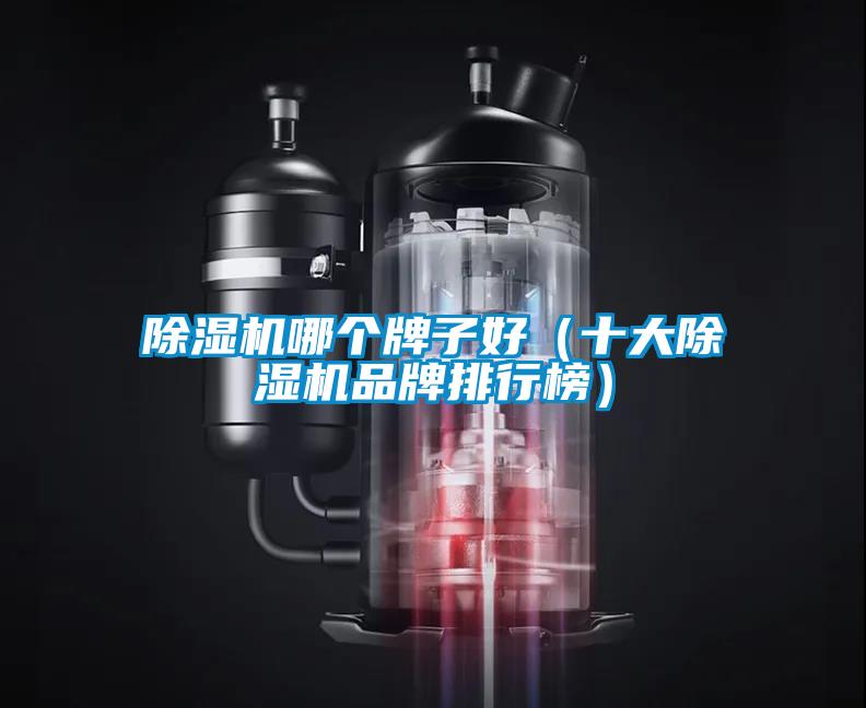 除濕機(jī)哪個牌子好（十大除濕機(jī)品牌排行榜）