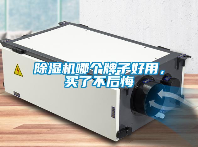 除濕機哪個牌子好用，買了不后悔