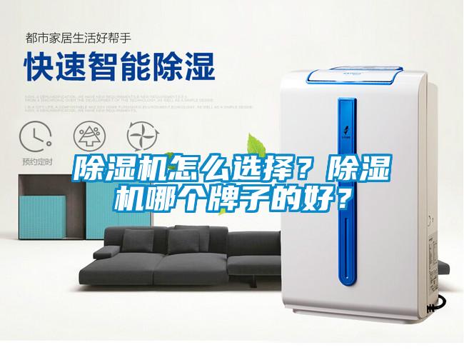 除濕機怎么選擇？除濕機哪個牌子的好？