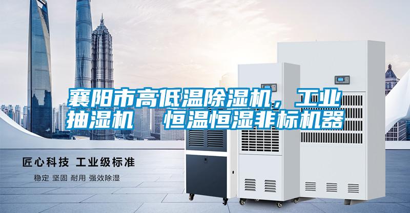 襄陽(yáng)市高低溫除濕機(jī)，工業(yè)抽濕機(jī)  恒溫恒濕非標(biāo)機(jī)器