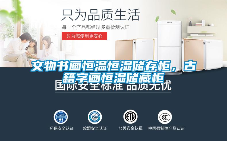 文物書畫恒溫恒濕儲(chǔ)存柜，古籍字畫恒濕儲(chǔ)藏柜