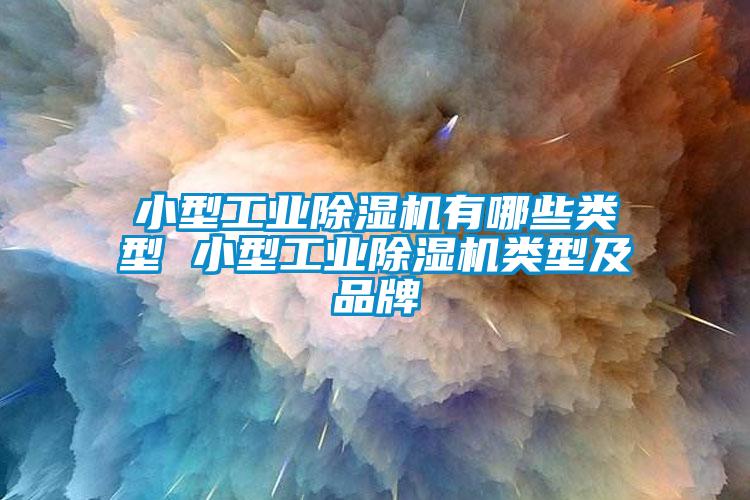 小型工業(yè)除濕機(jī)有哪些類(lèi)型 小型工業(yè)除濕機(jī)類(lèi)型及品牌
