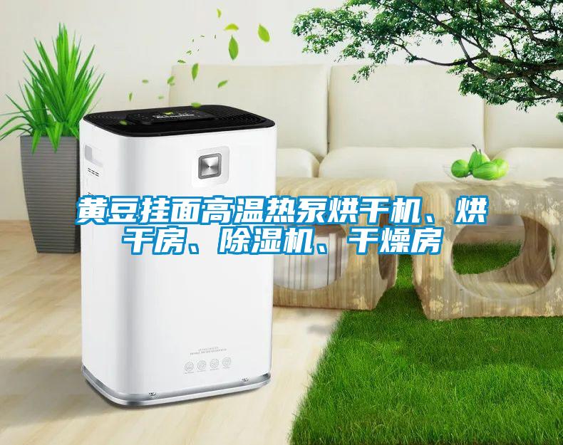 黃豆掛面高溫?zé)岜煤娓蓹C(jī)、烘干房、除濕機(jī)、干燥房