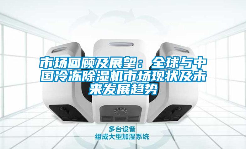 市場回顧及展望：全球與中國冷凍除濕機市場現狀及未來發(fā)展趨勢