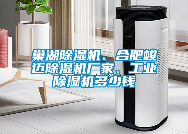 巢湖除濕機(jī)、合肥峻邁除濕機(jī)廠家、工業(yè)除濕機(jī)多少錢