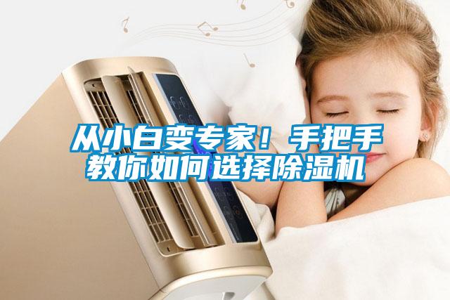 從小白變專家！手把手教你如何選擇除濕機