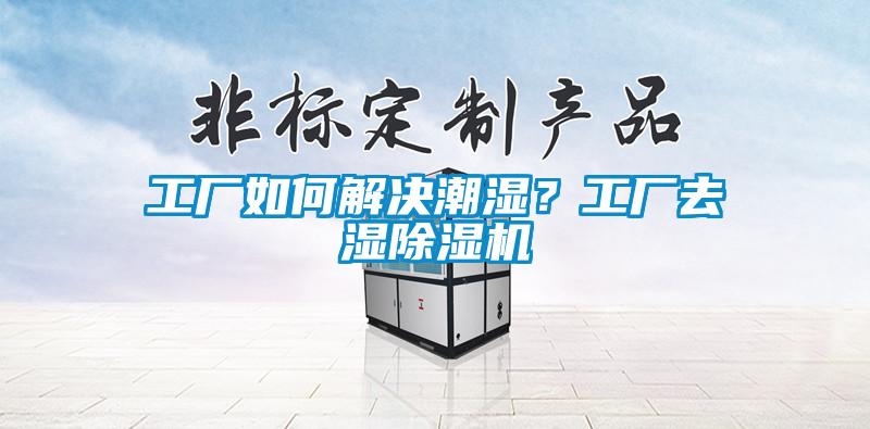 工廠如何解決潮濕？工廠去濕除濕機(jī)
