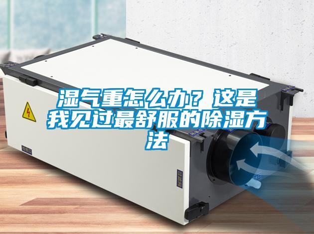 濕氣重怎么辦？這是我見過最舒服的除濕方法