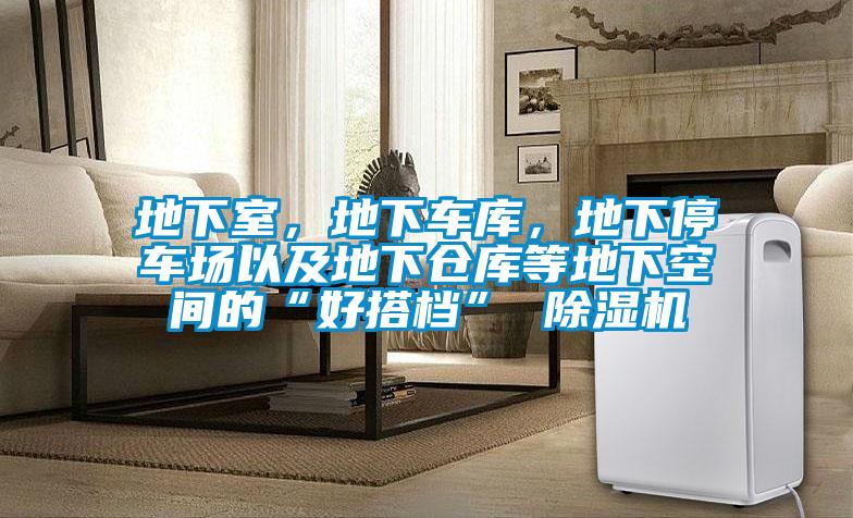 地下室，地下車庫(kù)，地下停車場(chǎng)以及地下倉(cāng)庫(kù)等地下空間的“好搭檔” 除濕機(jī)