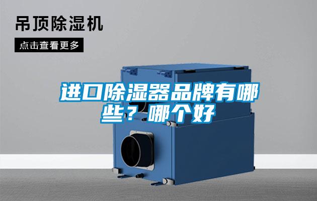 進口除濕器品牌有哪些？哪個好