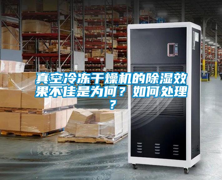 真空冷凍干燥機(jī)的除濕效果不佳是為何？如何處理？