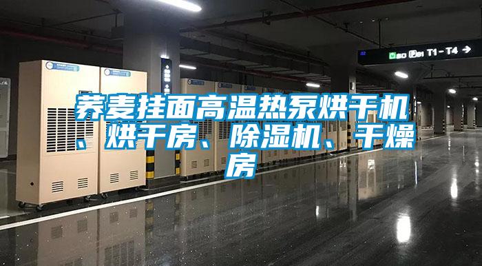 蕎麥掛面高溫?zé)岜煤娓蓹C、烘干房、除濕機、干燥房