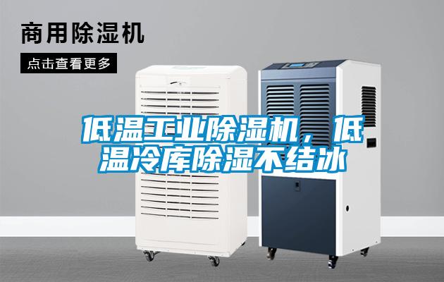 低溫工業(yè)除濕機(jī)，低溫冷庫(kù)除濕不結(jié)冰
