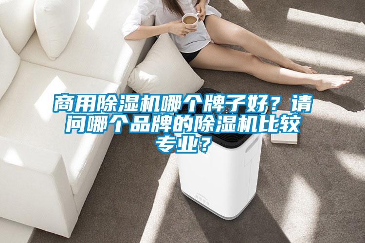 商用除濕機(jī)哪個牌子好？請問哪個品牌的除濕機(jī)比較專業(yè)？