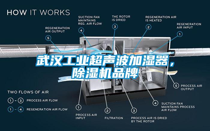 武漢工業(yè)超聲波加濕器，除濕機(jī)品牌