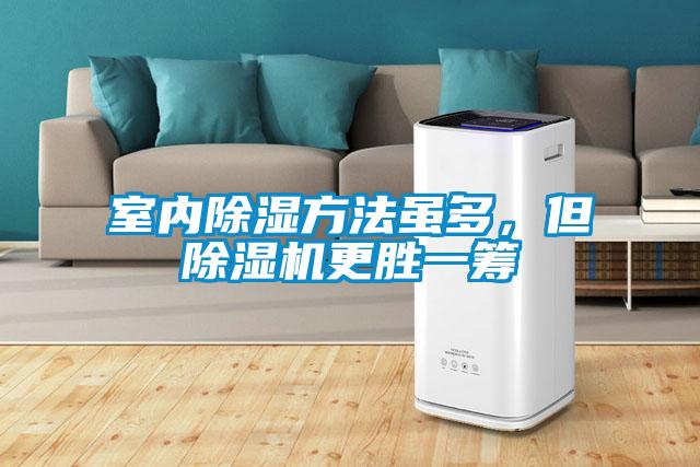 室內(nèi)除濕方法雖多，但除濕機(jī)更勝一籌