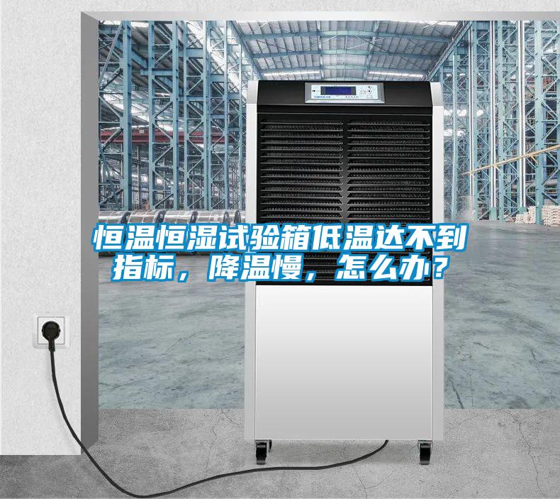 恒溫恒濕試驗箱低溫達不到指標(biāo)，降溫慢，怎么辦？