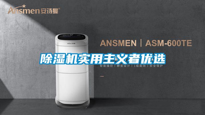 除濕機(jī)實用主義者優(yōu)選