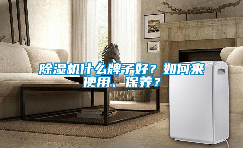 除濕機什么牌子好？如何來使用、保養(yǎng)？