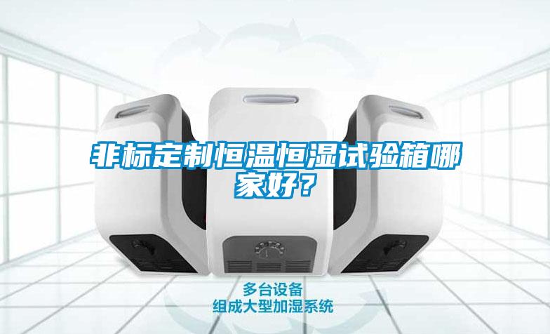 非標(biāo)定制恒溫恒濕試驗(yàn)箱哪家好？