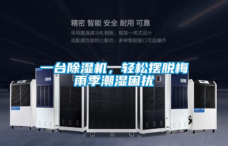 一臺除濕機，輕松擺脫梅雨季潮濕困擾