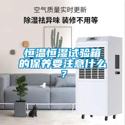 恒溫恒濕試驗(yàn)箱的保養(yǎng)要注意什么？
